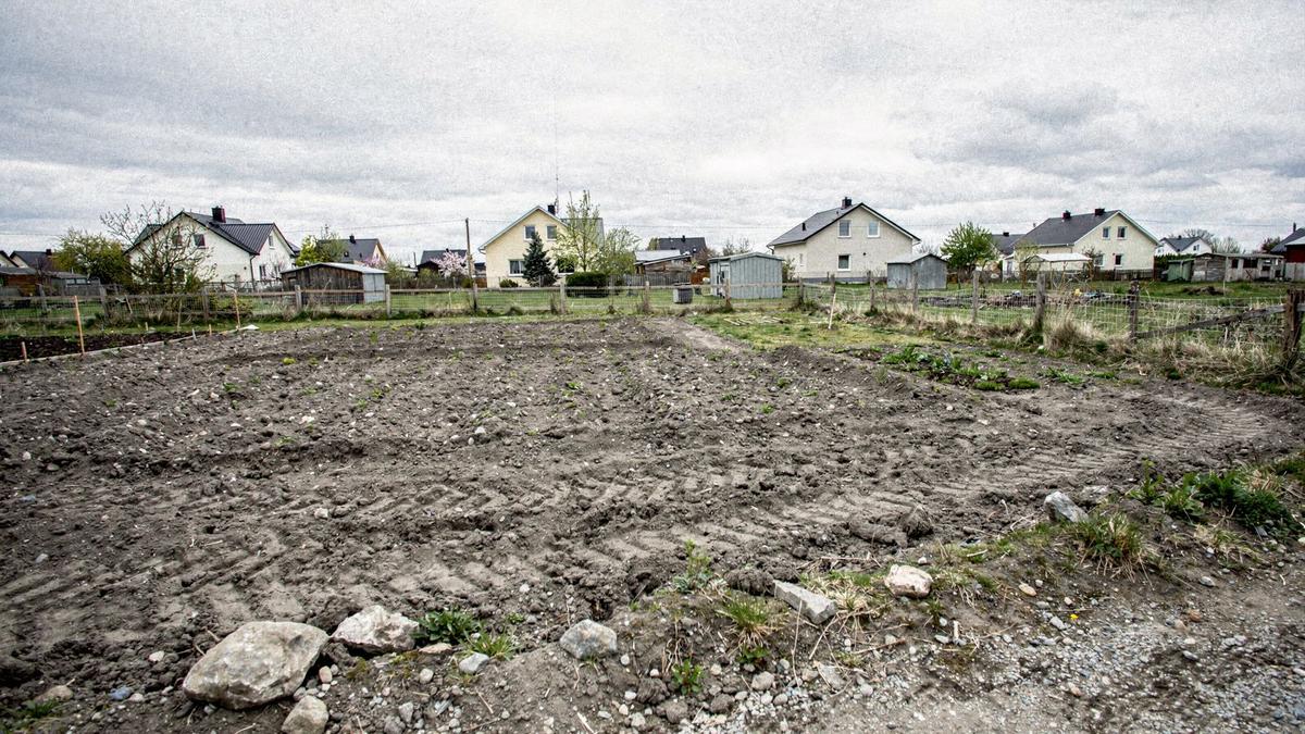Graded bare plot with exposed subsoil before planting, Kyiv oblast